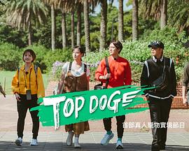 柚子视频《TOP DOG》免费在线观看