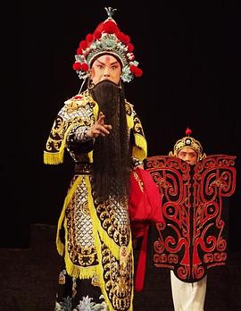 柠檬导肮《袁崇焕2009》免费在线观看