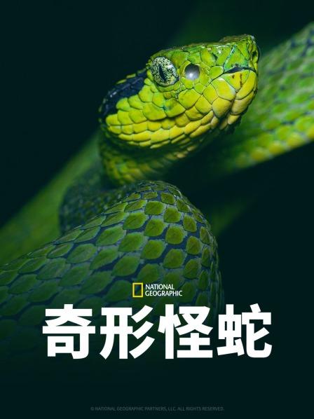 柠檬导肮《奇形怪蛇》免费在线观看